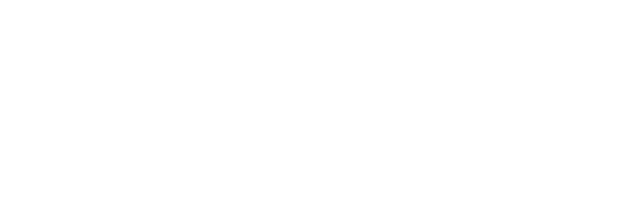 bnr_half_company